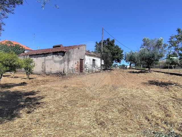 Quinta venda em Abrantes, Santarém