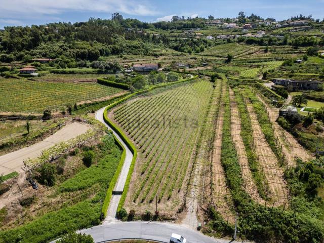 Quinta venda em Felgueiras, Penacova