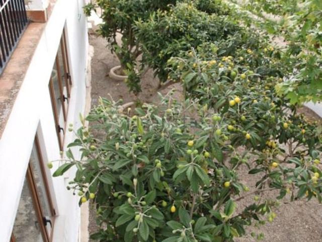 Casa Rural en venta en l'Alcoià, Valencia