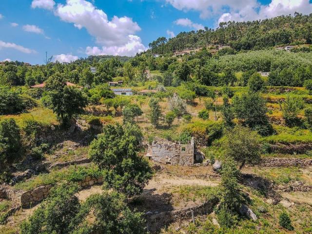 Quinta venda em Cárdia, Porto