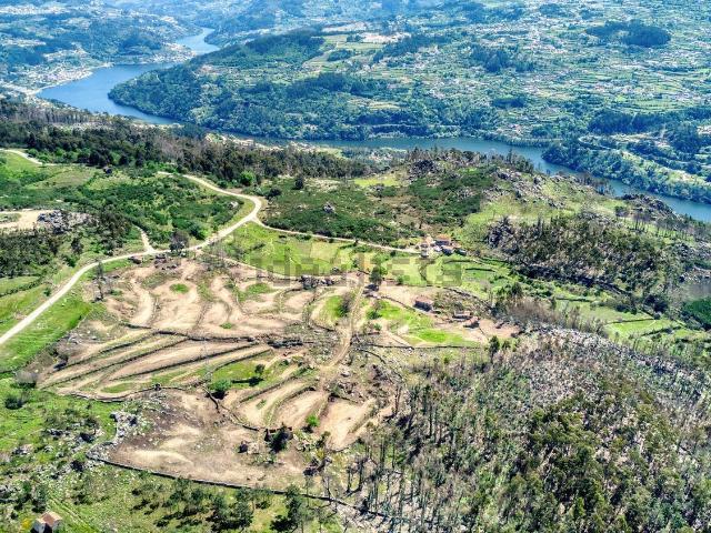 Quinta venda em Penha Longa, Porto