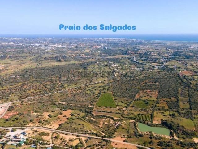 Quinta venda em Pêra
