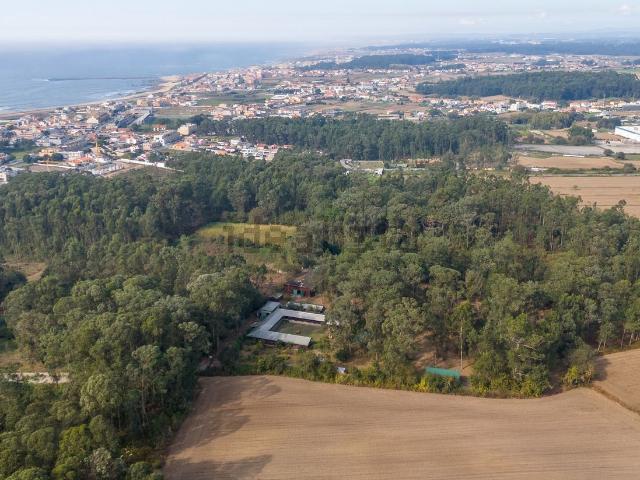 Quinta venda em Agudela, Porto