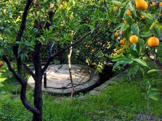 Casa Rural en venta en Perales Del Puerto, Extremadura