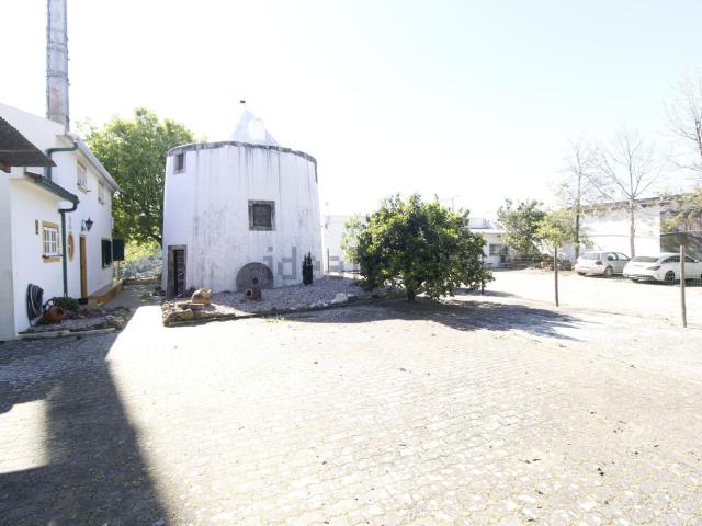 Quinta venda em Santarém