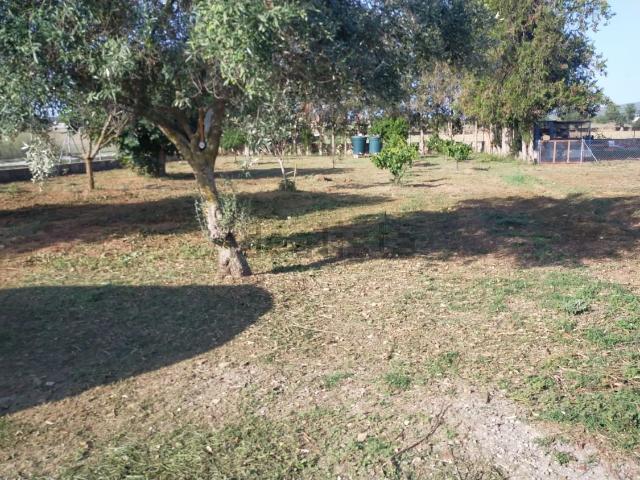 Casa Rural en venta en Pla de Mallorca, Baleares