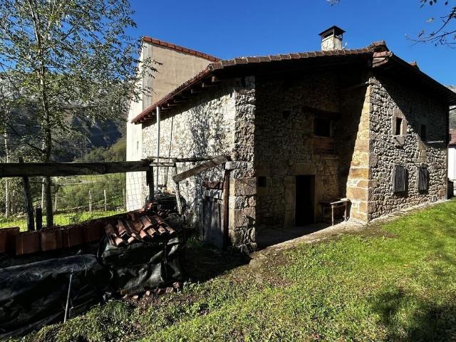 Casa Rural en venta en Peñamellera Alta, Asturias