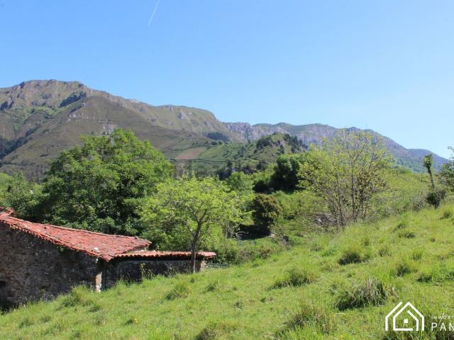 Quinta en venta en Peñamellera Baja, Para