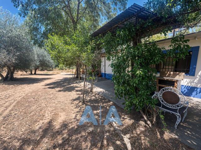 Casa Rural en venta en Piedrabuena, Castilla-La Mancha