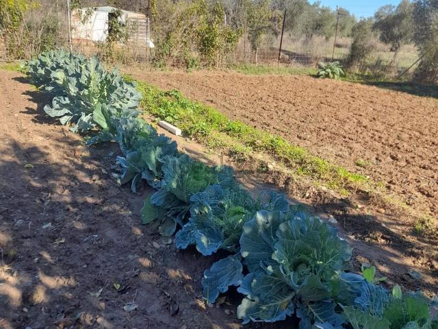 Casa Rural en venta en Piedrabuena, Castilla-La Mancha