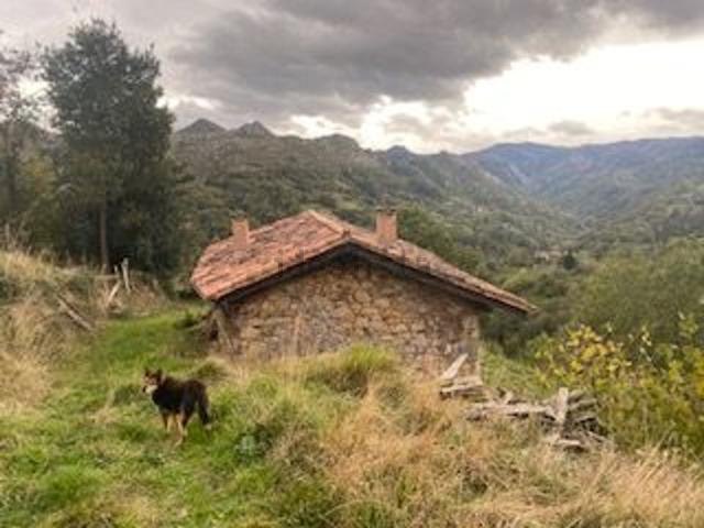 Casa Rural en venta en Piloña, Asturias