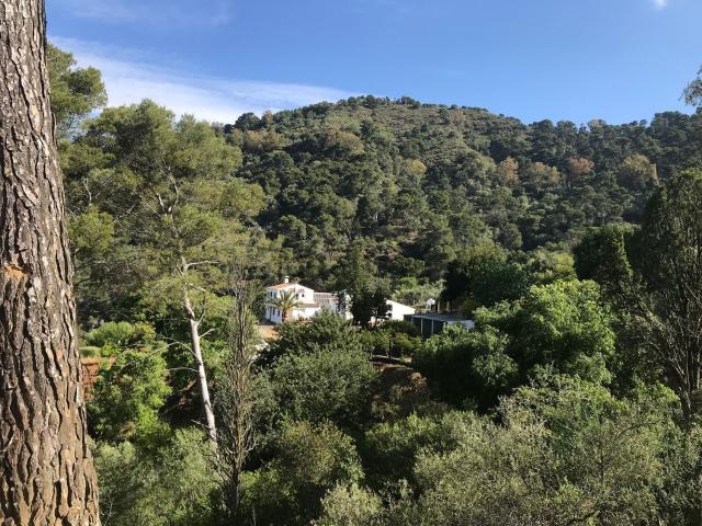 Casa Rural en venta en Málaga, Pinares de San Antón