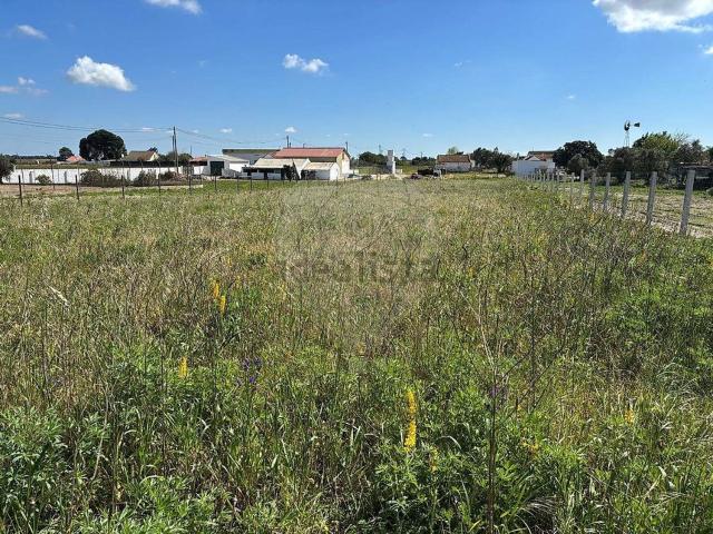 Quinta venda em Palmela, Setúbal