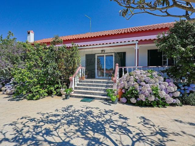 Quinta venda em Palmela, Setúbal