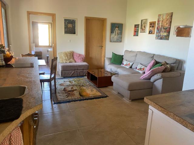 Quinta alugar em Chamusca e Pinheiro Grande, Chamusca