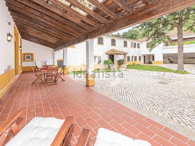 Quinta venda em Chamusca e Pinheiro Grande, Chamusca