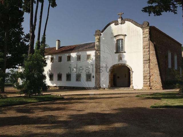 Quinta venda em Chamusca e Pinheiro Grande, Chamusca