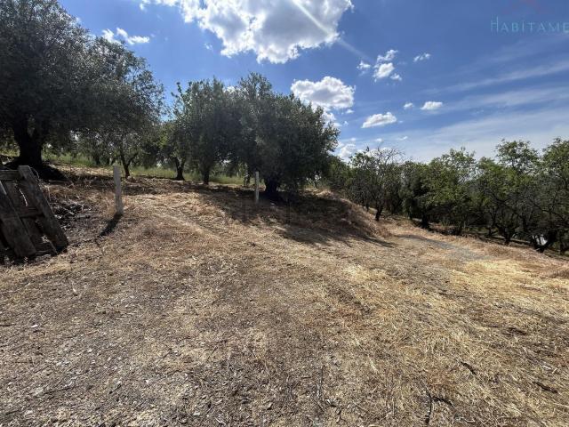 Casa Rural en venta en Los Pinillos, Pinos Genil