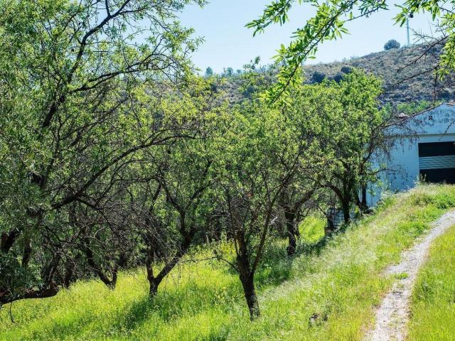 Casa Rural en venta en Comarca de la Vega de Granada, Andalucía