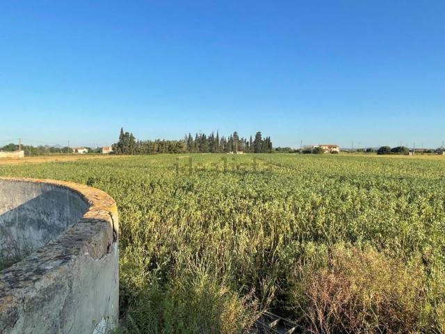Casa Rural en venta en Raiguer, Baleares
