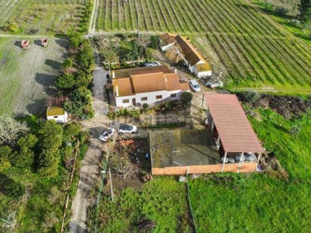 Quinta venda em Bairro Margaça, Palmela
