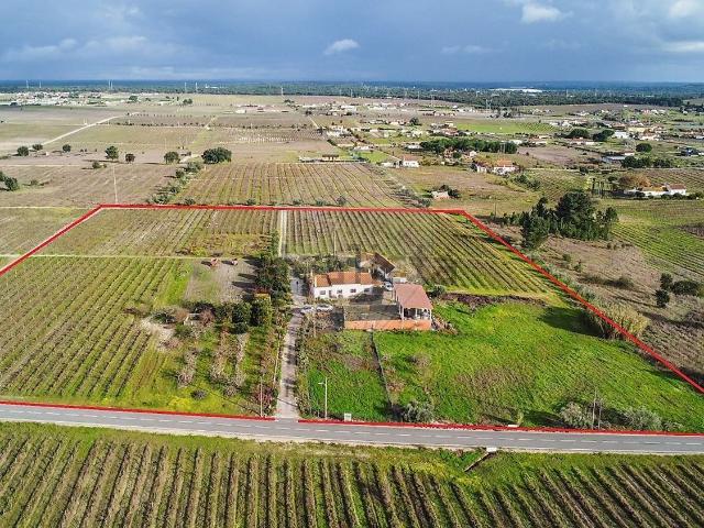 Quinta venda em Palmela, Setúbal