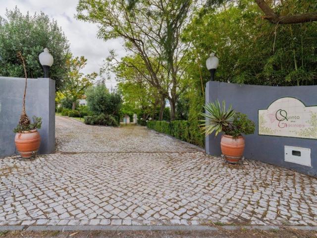 Quinta venda em Palmela, Setúbal