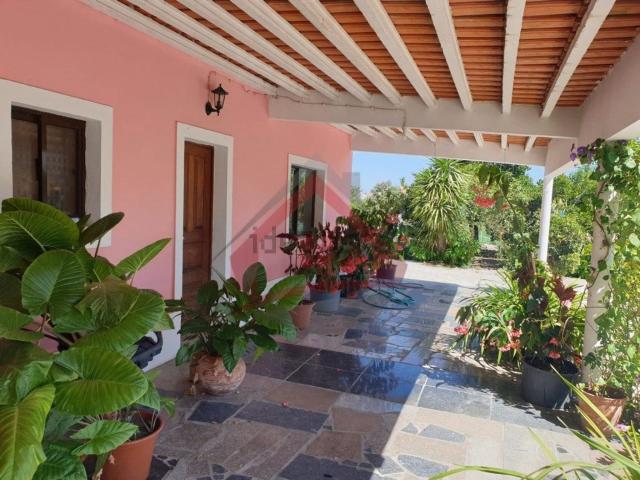 Quinta venda em Palmela, Setúbal