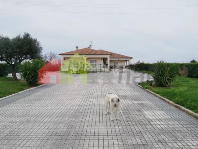 Quinta venda em Palmela, Setúbal
