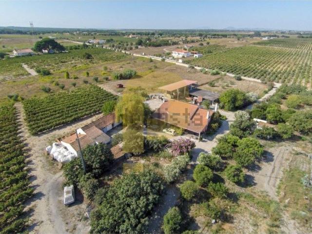 Quinta venda em Palmela, Setúbal