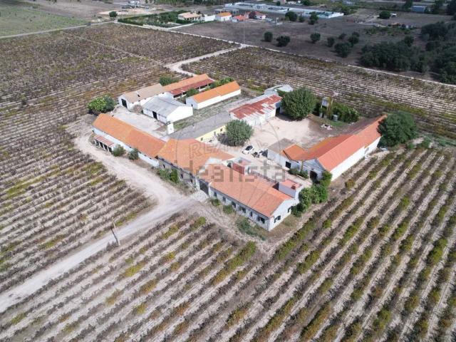 Quinta venda em Fonte Barreira, Palmela