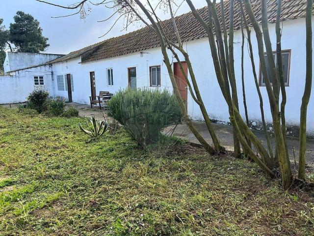 Quinta alugar em Lagoa do Calvo, Palmela