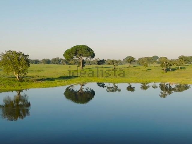 Quinta venda em Palmela, Setúbal