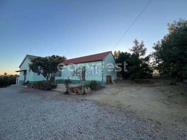Quinta venda em Palmela, Setúbal