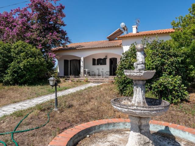 Quinta venda em Palmela, Setúbal