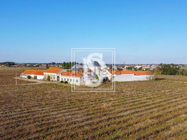 Quinta venda em Palmela, Setúbal