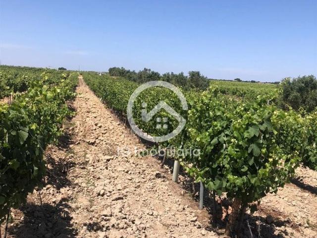 Quinta venda em Palmela, Setúbal