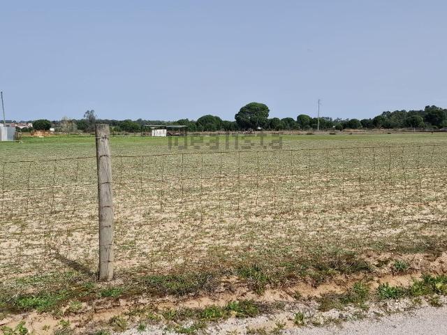 Quinta venda em Palmela, Setúbal
