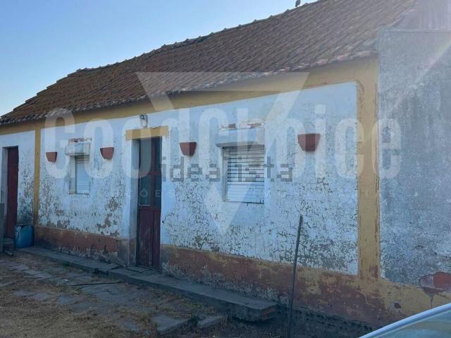 Quinta venda em Palmela, Setúbal