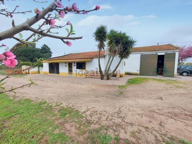 Quinta alugar em Lagoa do Calvo, Palmela