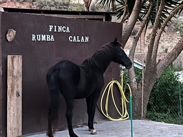 Casa Rural en venta en Xirles, Polop