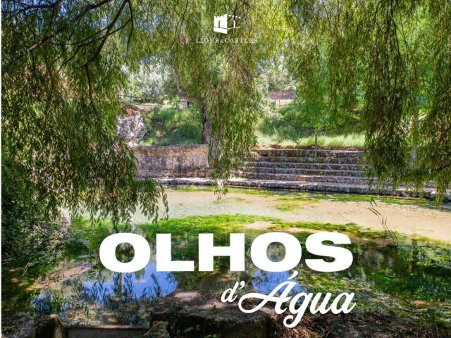 Quinta venda em Pombal, Flandes