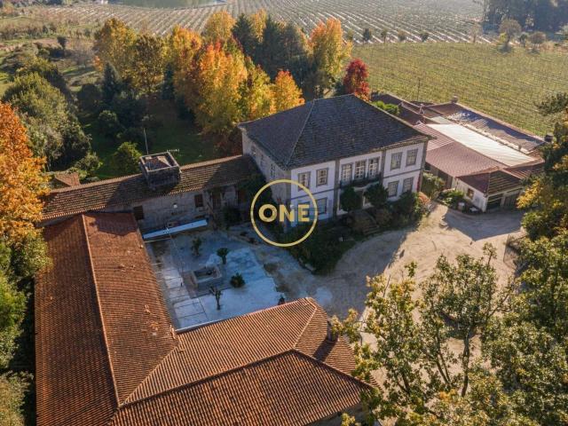 Quinta venda em Felgueiras, Pombeiro De Ribavizela