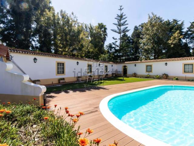 Quinta venda em Cartaxo, Santarém