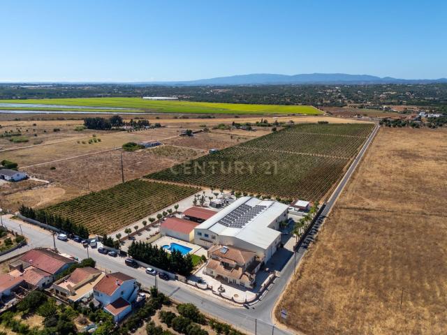Quinta venda em Fontes da Matosa, Faro