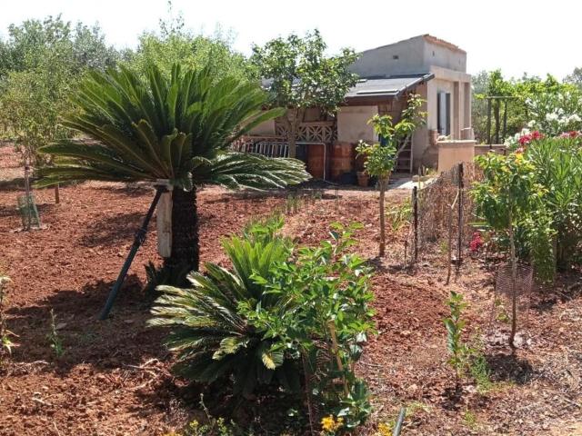 Casa Rural en venta en Pla de Mallorca, Baleares