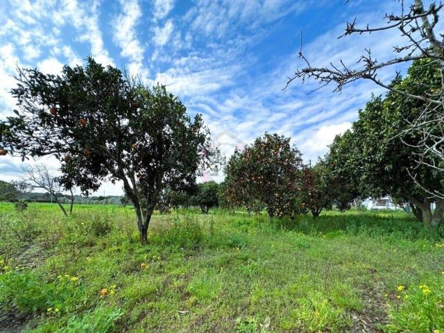 Quinta venda em Sines, Setúbal