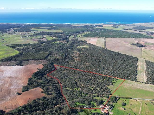 Quinta venda em Sines, Setúbal