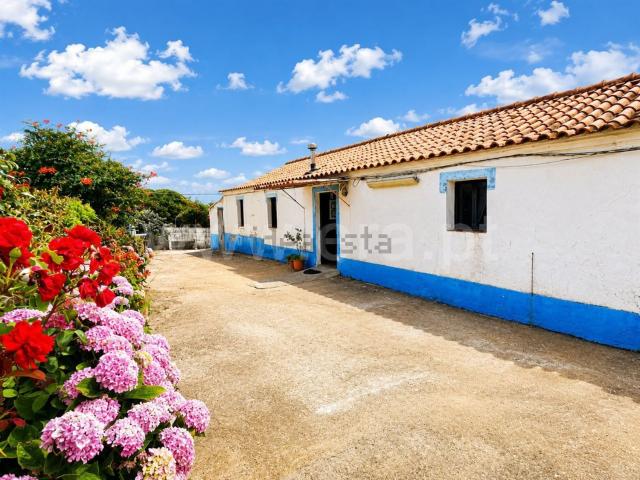 Quinta venda em Sines, Setúbal