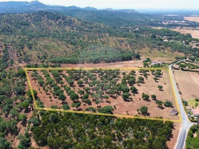 Quinta venda em Sines, Setúbal